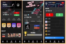 多语言TIKTOK抢单<strong>刷单</strong>系统