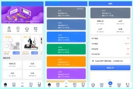 全新多语言海外抢单系统/抢单<strong>刷单</strong>源码/订单自动匹配系统