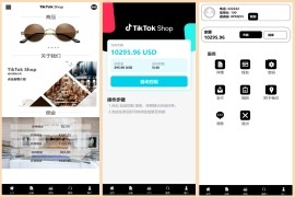 新版多语言TikTok抢单<strong>刷单</strong>系统快杀盘前端VUE