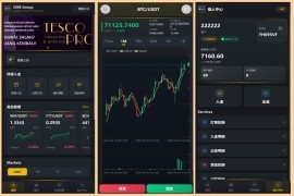 定制运营版虚拟币外汇贵金属大宗商品微盘微交易系统