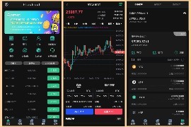 多语言黑色版平台币<strong>交易所</strong>/币币/合约/期权/申购/质押/大转盘/站类信