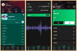 多语言音乐<strong>刷单</strong>系统/海外音乐<strong>刷单</strong>抢单/策略组派单/打针等等/前端uniapp