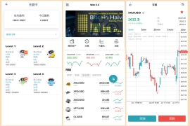 多语言虚拟币黄金白银铂金DAPP交易所系统微盘系统